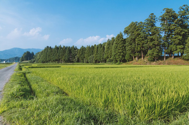 農地転用許可申請